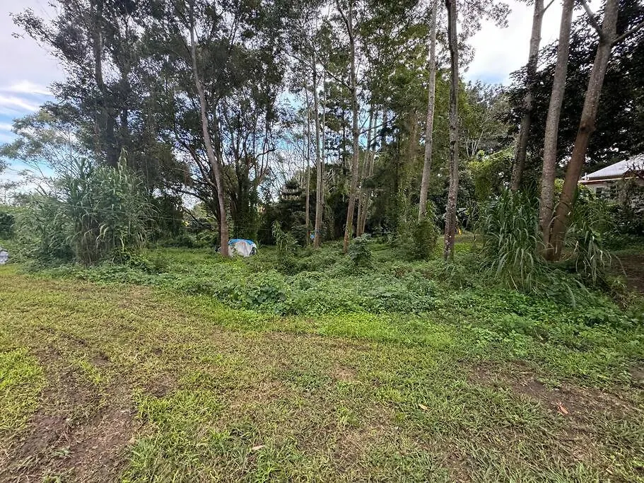 120Yr Old House By The River North Lismore