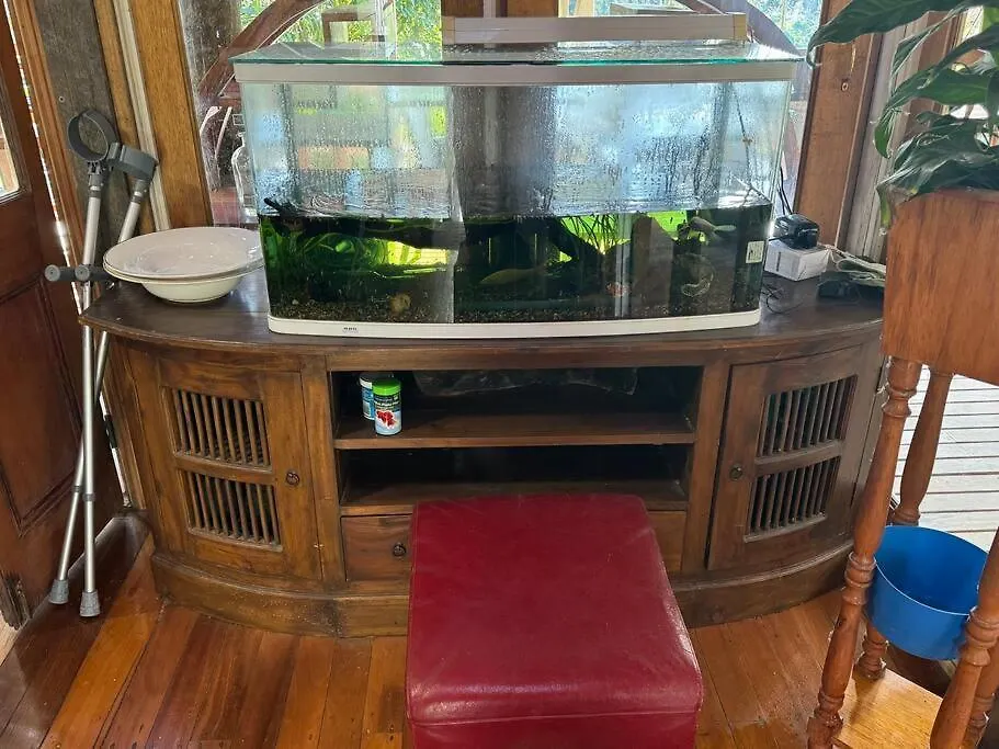 120Yr Old House By The River North Lismore 0*,  Australia